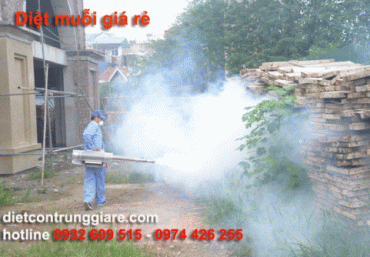 Phun thuốc diệt muỗi giá rẻ tại HCM