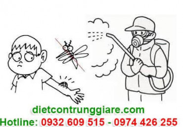 Phun thuốc diệt muỗi quận Bình Thạnh giá rẻ