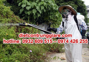 Phun thuốc diệt muỗi quận Bình Tân giá rẻ