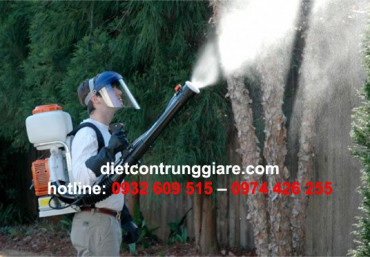Phun thuốc diệt muỗi quận Tân Bình giá rẻ