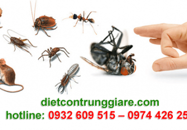 Diệt côn trùng gây hại Phú Nhuận giá rẻ