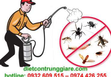 Diệt côn trùng gây hại Thủ Đức giá rẻ