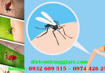 Dịch vụ diệt muỗi tại Gò Vấp giá rẻ