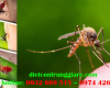 Dịch vụ diệt muỗi tại Tân Bình giá rẻ