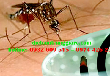Diệt muỗi giá rẻ tại TP Thủ Đức