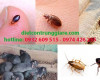 Top 3 côn trùng gây hại trong nhà
