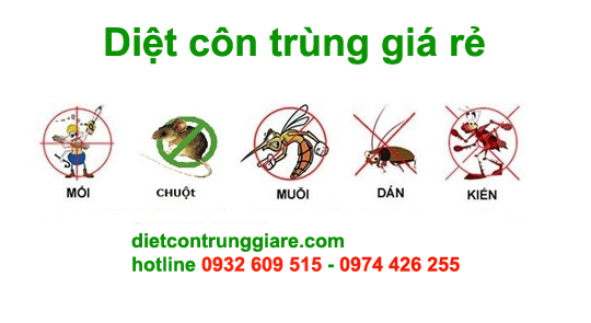 muỗi, bọ chét và nhện