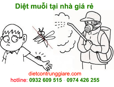 dịch vụ muỗi tại nhà chuyên nghiệp giá rẻ
