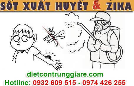 diệt muỗi tại quận tân phú