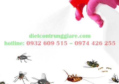 4 nơi côn trùng gây hại yêu thích