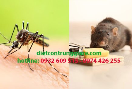 Dịch vụ Pest Control tại quận 12 giá rẻ