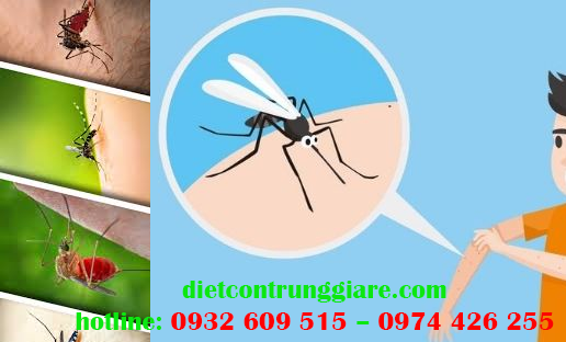 Dịch vụ diệt muỗi tại quận Gò Vấp giá rẻ