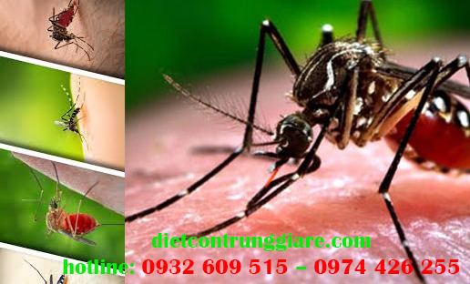 Dịch vụ diệt muỗi tại Tân Bình giá rẻ