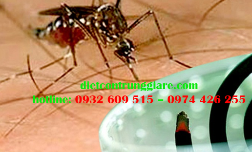 Diệt muỗi giá rẻ tại TP Thủ Đức